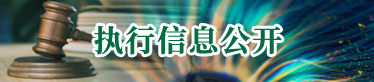 执行信息公开